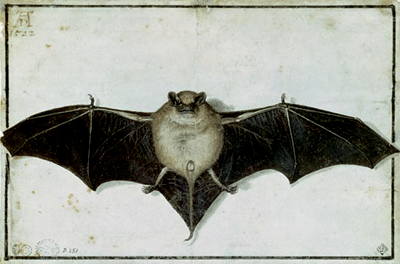 bat